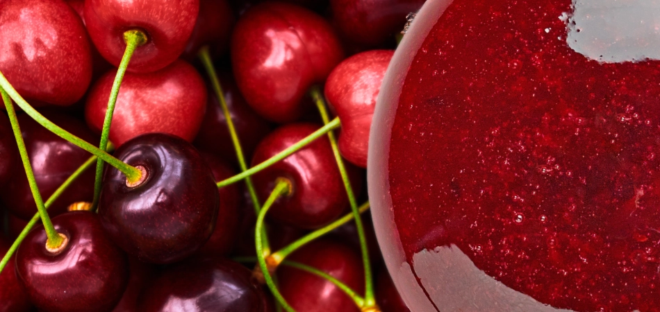 visnovy-koncentrat-nabidka